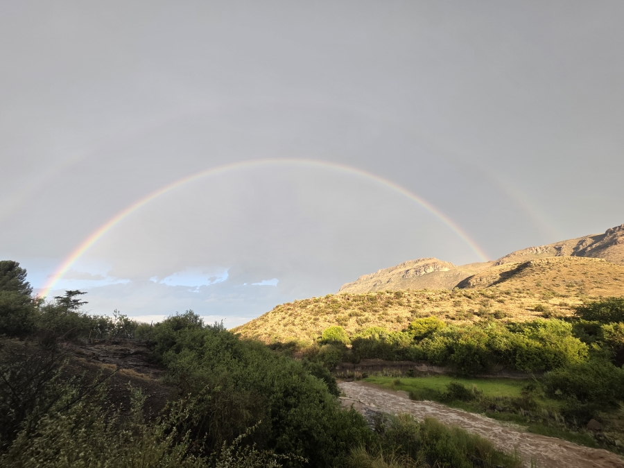 0 Bedroom Property for Sale in Middelburg Rural Eastern Cape